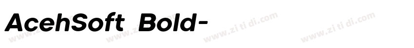 AcehSoft Bold字体转换